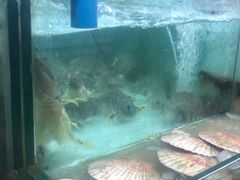 -班赞海鲜市场