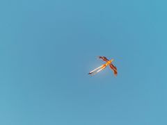 -老四季(南市场店)