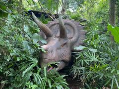 -海南热带野生动植物园