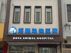 -纳吉亚猫专科动物医院博雅分院