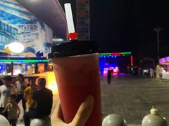 -巨鹏飞梦幻海岸