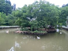 -黔灵山公园