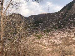 -碓臼峪自然风景区