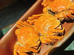 -牛New寿喜烧(金鹰世界店)