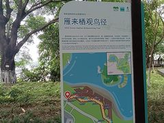 -海珠湖公园