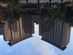 iphone_upload_pic-三亚湾红树林度假世界(木棉酒店)