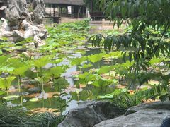 -乌镇望津里精品酒店