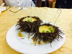 海胆蒸蛋-海岛渔村大酒店(云霄路店)