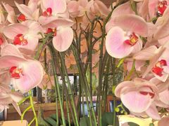 -八府香鸭·啫啫煲(华山路店)