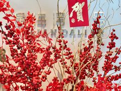-大连君悦酒店·星海湾壹号Dalian·Dalian(星海广场店)