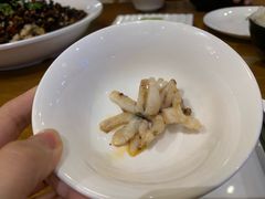 -三猫黑鱼花(南大店)