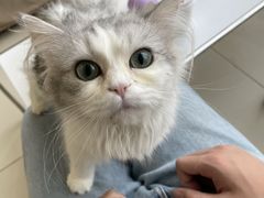 -怪兽屋·羊驼·猫咖·狗咖(俊华广场店)