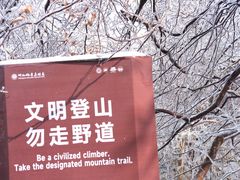 -紫金山山顶公园