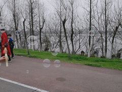 -艾溪湖湿地公园