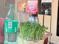 -海底捞大排档火锅(打浦路店)