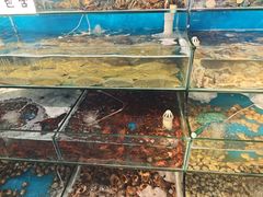 -仙螺岛海鲜自助餐厅(总店)