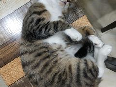 -玉椰林甜品店(创始店)