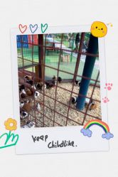 -萌宠亲子动物乐园(槐房万达店)