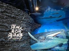 -欢乐海岸海洋奇梦馆