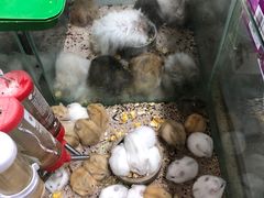 -三旗百汇商品城