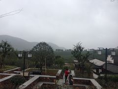 -帐篷客·溪龙茶谷度假酒店