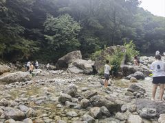 -陕西省红河谷森林公园