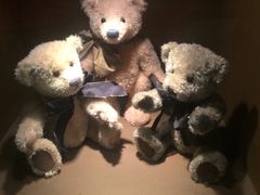 -济州岛泰迪熊博物馆