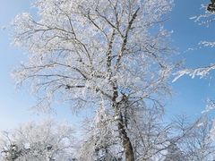 -雪谷