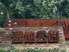 -东郊湿地公园