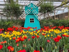 -南宫五洲植物乐园