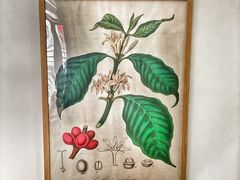 -叁渡咖啡馆(新天地店)