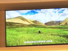 -CoCo都可(银泰店)