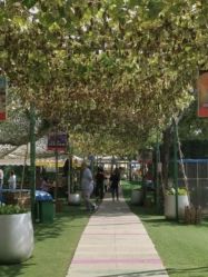 -萌宠亲子动物乐园(槐房万达店)