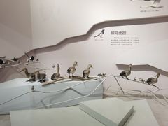 -武汉园博园(武汉自然博物馆)