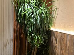 -慢丽江·云南野生菌土鸡锅(付家庄店)