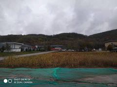-南泥湾风景区