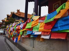 -大召无量寺