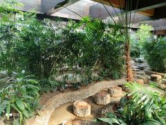 -三江森林温泉度假区