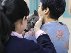 -北京观赏动物医院·24小时大型综合·猫专科·异宠专科