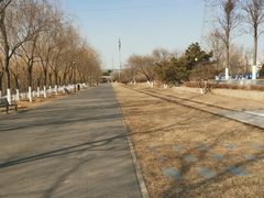 -永定河休闲森林公园