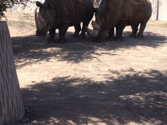 -新疆天山野生动物园