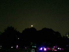 -枫花园汽车电影院(朝阳公园店)