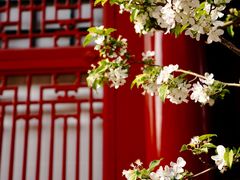 -故宫博物院(故宫)