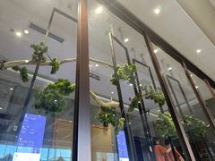 -星河湾温泉洗浴酒店