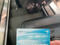 -龙阳路磁悬浮列车总站-停车场