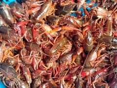 -庾氏龙虾馆(多弗汇店)