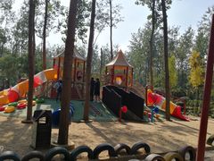 -合肥滨湖国家森林公园