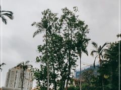 -福建中医药大学附属第二人民医院(本部)