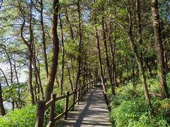 -铁山坪森林公园