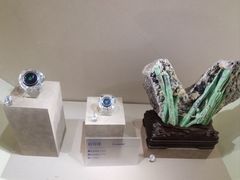 -安徽省地质博物馆
